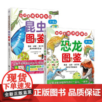 这才是孩子爱玩的恐龙图鉴 恐龙主题全科启蒙 恐龙图鉴+昆虫图鉴 3-6岁儿童科普书籍