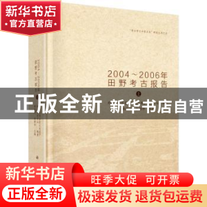 正版 登封南洼:2004-2006年田野考古报告 韩国河,张继华主编 科