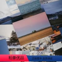 [正版]迷失冰岛 摄影师@西追儿静谧唯美的冰岛风景摄影作品 冰川雪原树林等出类艺术明信片创意唯美风景文艺插画集文创装饰