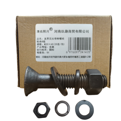 清玖熙月 发黑沉头带榫螺栓组合8级 M20×60(20套/包) 包
