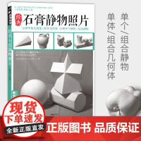 石膏几何体静物照片书画素描专用专业摄影对画照片图书 杨建飞主编sh