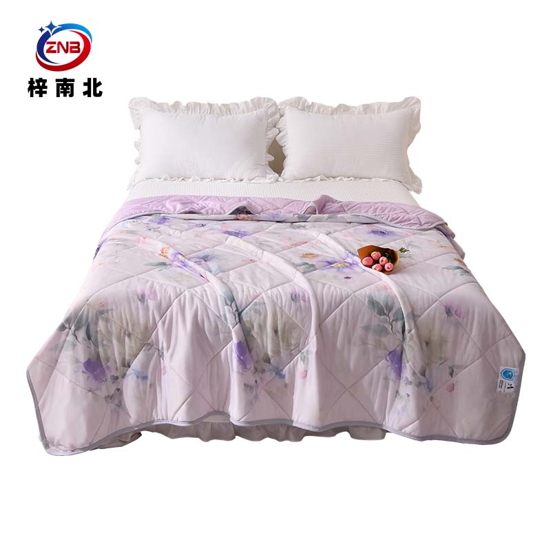 梓南北 印花凉感丝夏被空调被 200*230cm 条