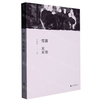 [N]雪落天未寒-9787538763201