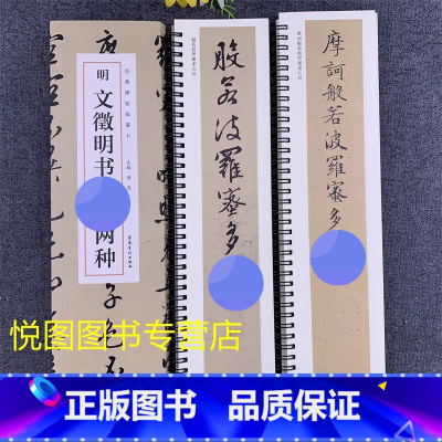 [正版]文徵明书两种新经 经典碑帖近距离临摹字卡 洪亮主编 文征明行草书 楷书毛笔书法字帖 文徵明字帖 全文无删减安徽美
