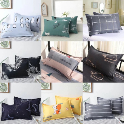 枕头套装枕芯带枕套单人枕芯一对装成人护颈椎学生宿舍枕头套