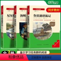 [全3册]快乐读书吧六年级下册必读 [正版]名校课堂快乐读书吧六年级下册必读小学生课外阅读书籍书目鲁滨逊漂流记尼尔斯骑鹅