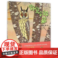 魔法象.图画书王国•野鸟会躲藏 何华仁 著绘 著作 绘本/图画书/少儿动漫书少儿 正版图书籍 广西师范大学出版社