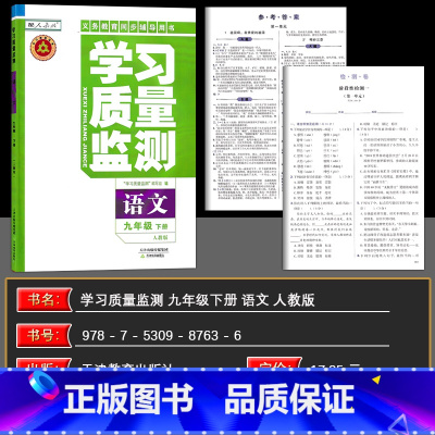 语文 九年级下 [正版]2025春 义务课程标准同步辅导用书 学习质量监测 九年级语文下册 人教版 内含检测卷与参