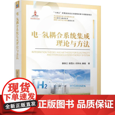 机工 电-氢耦合系统集成理论与方法 袁铁江 田雪沁 闫华光 滕越
