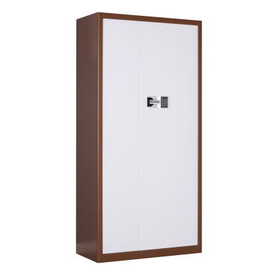 慧采云 办公家具优质钢制套色通门二斗国保锁保密柜办公柜铁皮柜收纳柜储物柜900*420*1850mm