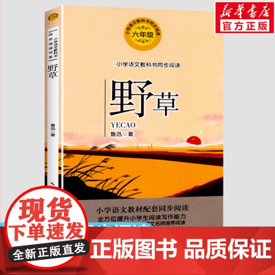 野草 鲁迅著 6六年级上册学期小学语文同步阅读书系教科书教材课文作家作品儿童文学 小学生必课外阅读书籍寒暑假书目读物正版