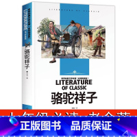 名师精读版-骆驼祥子 七年级 [正版]骆驼祥子原著 老舍七年级下册必读 初中生初一课外阅读书籍书排行榜世界名著课外书