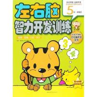 正版新书]5岁-数理.逻辑.比较.常识-左右脑智力开发训练-基础篇-