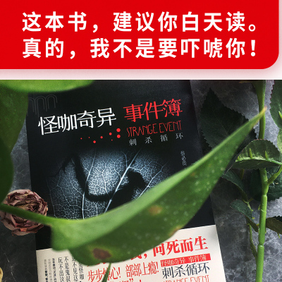 怪咖奇异事件簿:刺杀循环