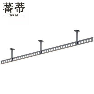 蕃蒂