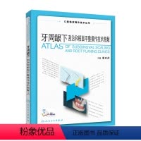 [正版]牙周龈下刮治和根面平整操作技术图解 正畸牙髓之路口腔解剖生理修复牙周刮治基础与高级根面刮治人民卫生出版社牙医口