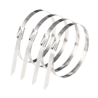 铭达鲁满 不锈钢扎带 10*100mm/100根 包