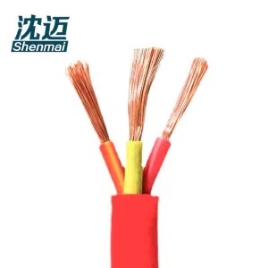 沈迈 铜芯硅橡胶耐高温电缆 YGCR-3*10平方 1米