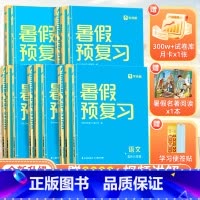 语数英暑假预复习(四升五) 小学通用 [正版]2023新 暑假预复习一二三四五六年级语文数学英语暑假一本通衔接重难点复习