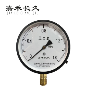 嘉禾长久 压力表检测型 Y150 块