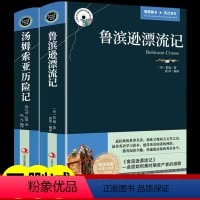 [正版]全2册鲁滨逊漂流记汤姆索亚历险记原著书中英文双语读物版英汉对照互译版适合小学生六年级初高中生课外阅读经典小说英