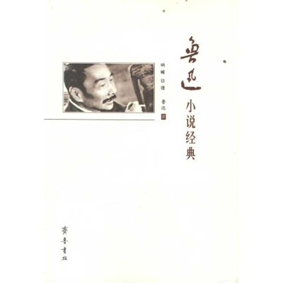 醉染图书鲁迅小说经典9787533325602