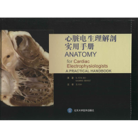 音像心脏电生理解剖实用手册S.Yen ho