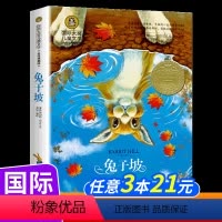 [国际大奖]兔子坡 [正版]书 小海蒂 国际大奖儿童文学系列小说小学生二三四五年级课外书必读老师阅读世界经典会飞的教室捣