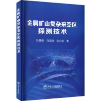 音像金属矿山复杂采空区探测技术刘勇锋,马海涛,张兴凯