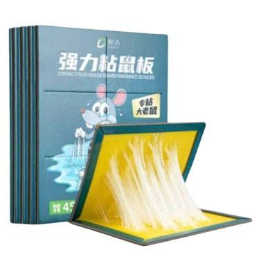 皎洁 强力粘鼠板 338*218*10mm 张