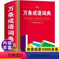 [正版]大本2024年中小学生万条成语词典中学生高中初中人教版儿童语文多全功能常用现代汉语四字词语带解释拼音造句速查字