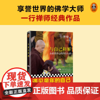 与自己和解 治愈你内心的内在小孩 享誉世界的佛学大师一行禅师经典作品回到自己内在深处拥抱疗愈内在小孩 与自己达成真正的和