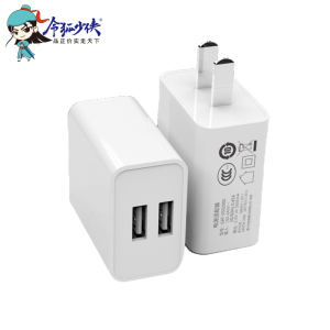 令狐少侠 5v2a充电头 蓝牙耳机5v1a充电器头 安卓USB插头多口10w慢充5w通用小功率灯双口适用手表电动牙刷