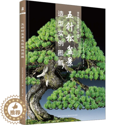 [醉染正版]正版 五针松盆景造型实例图解 湖北科学技术出版社 (日)近代出版株式会社 编 武桂名 译 养花书籍