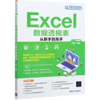 正版新书]Excel数据透视表从新手到高手宋翔 编9787302576174