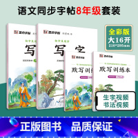 [语文临摹套装]八年级上册+下册(送默写训练本) 八年级/初中二年级 [正版]八年级上册语文字帖练字小学生硬笔书法字帖一