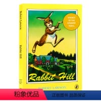 纽伯瑞金奖 兔子坡 [正版]100元5件英文原版小说 newbery 纽伯瑞儿童文学奖经典名著哈利波特英语原版奇迹男孩夏