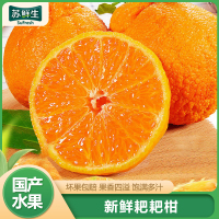 [苏鲜生]四川新鲜耙耙柑 净重9斤 特大果 单果80mm+ 产地精选 甜美多汁
