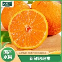 [苏鲜生]四川新鲜耙耙柑 净重9斤 单果80mm+ 产地精选 甜美多汁