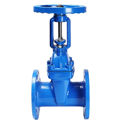 冰城同祥 铸铁软密封闸阀 Z41X-16Q DN50 台