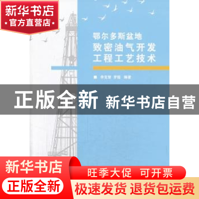 正版 鄂尔多斯盆地致密油气开发工程工艺技术 李克智,罗懿编著