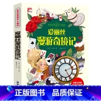 爱丽丝漫游奇境记(选4本29.8元) [正版]成语故事一年级注音版 中国成语故事大全小学生版一年级阅读课外书籍必读老师二