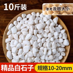 [补贴10%]天然雨花石小白石子多肉铺面盆栽花盆庭院造景装饰白色石头溪流