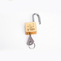 金岳SR30*铜叶片锁