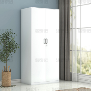 洛泰远 阳台柜单门衣柜钢制储物柜铁皮柜 白色双门文件衣柜800mm宽