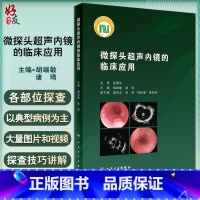 [正版] 微探头超声内镜的临床应用 胡端敏 诸琦主编 真实临床病例超声基本原理 内窥镜检超声波诊断内科学 人民卫生