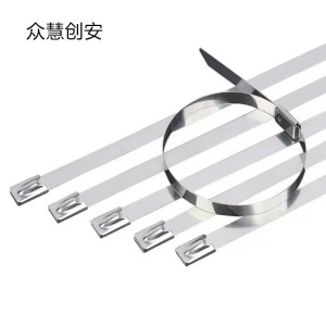 众慧创安 不锈钢扎带 7.9*500mm 个