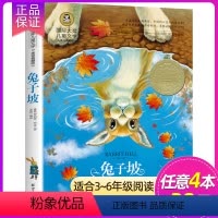 兔子坡 [正版] 国际大奖儿童文学小说 荒泉山 彩图美绘版 小学生三四五六年级课外阅读书籍 老师建议读物 纽伯瑞儿童文学