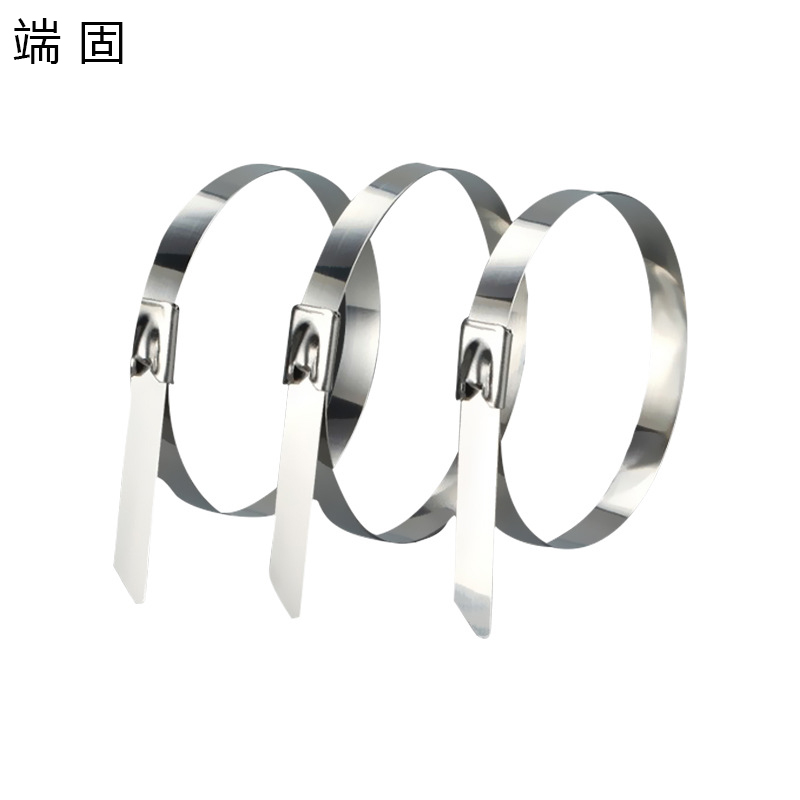端固 304不锈钢扎带4.6*300mm /条