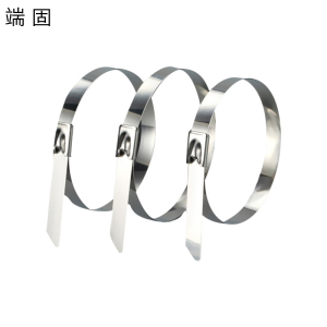 端固 304不锈钢扎带4.6*300mm /条